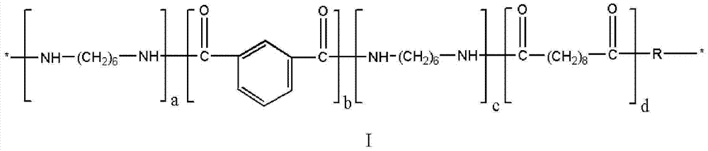 Long carbon chain transparent nylon and its synthesis method