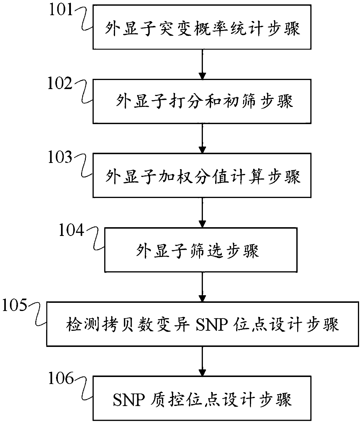 Gene chip for detection of tumor mutation load and its preparation method and device