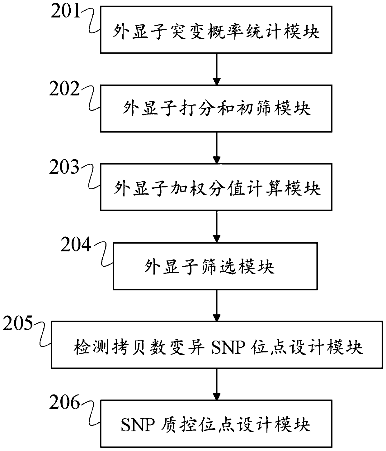 Gene chip for detection of tumor mutation load and its preparation method and device