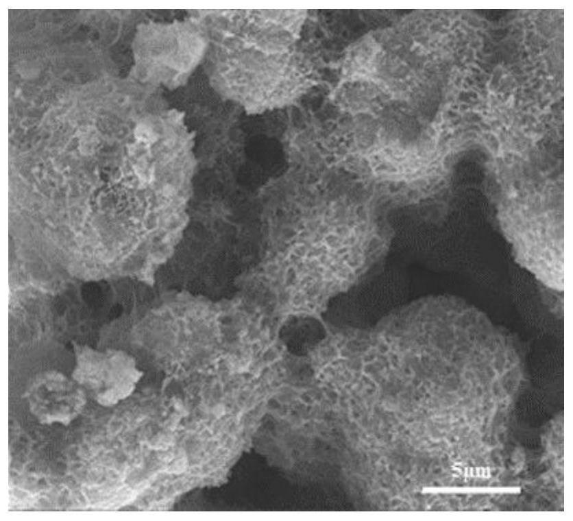 Polymorphic zeolite/C-S-H composite adsorption material as well as preparation method and application thereof