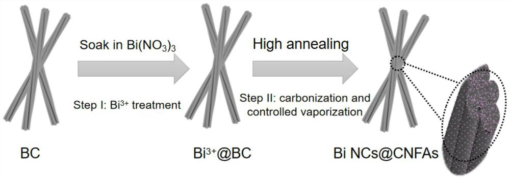 Carbon fiber aerogel protected bismuth nanocluster and preparation method thereof