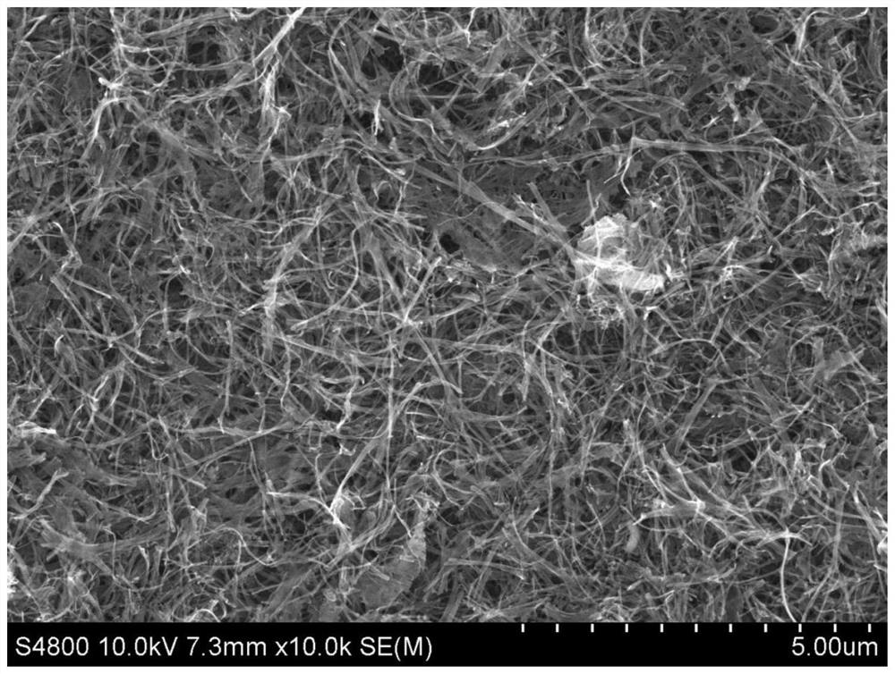 Carbon fiber aerogel protected bismuth nanocluster and preparation method thereof