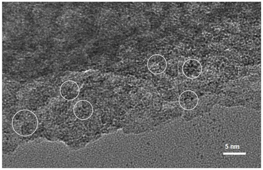 Carbon fiber aerogel protected bismuth nanocluster and preparation method thereof