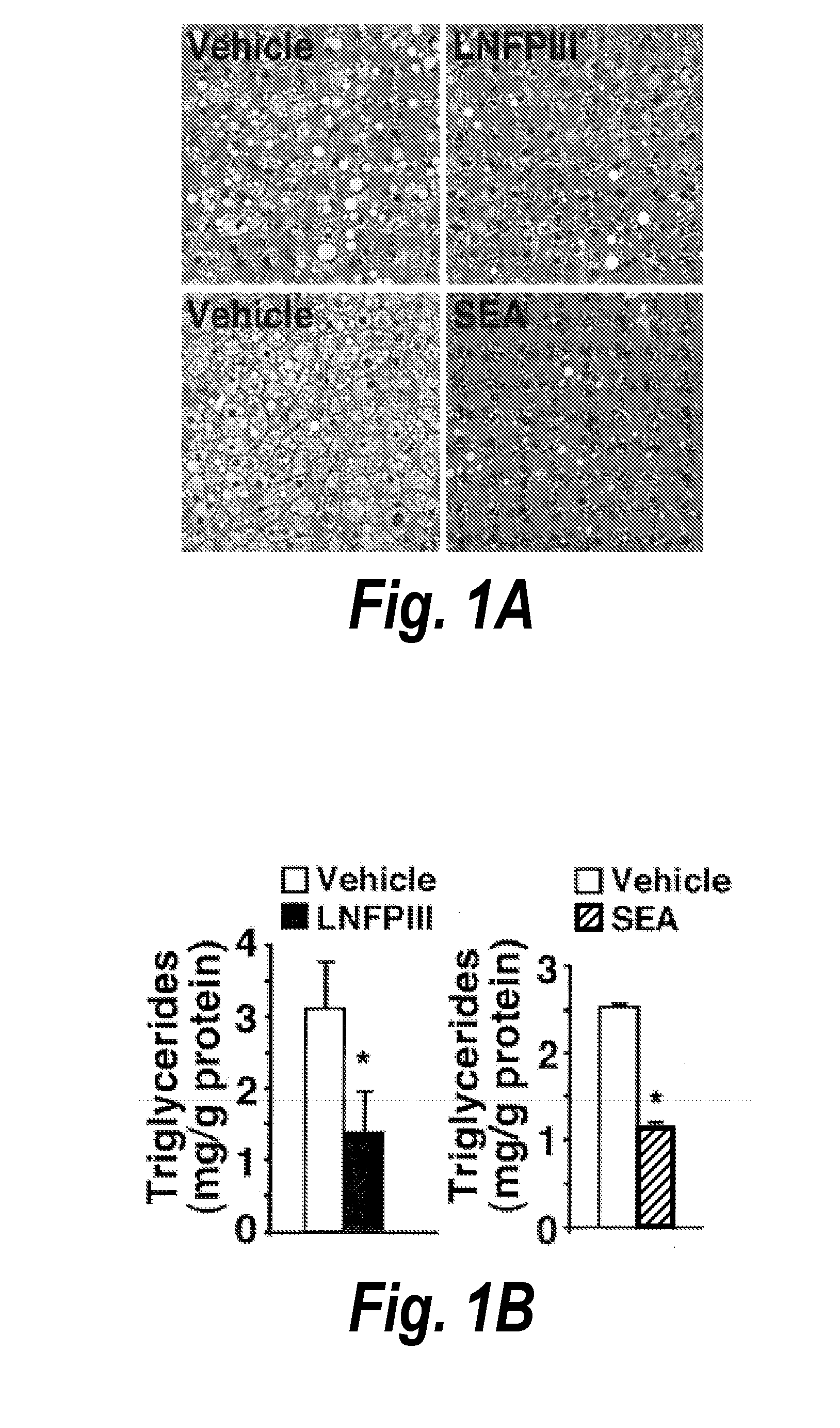 Methods of treating fatty liver disease with helminth-derived glycan-containing compounds