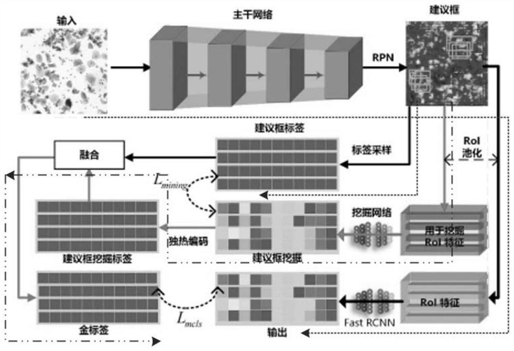 Robust training method for target detection network