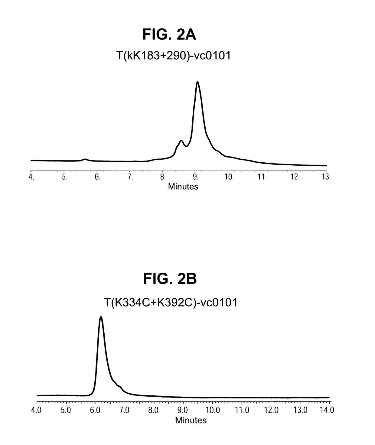 Site specific her2 antibody drug conjugates