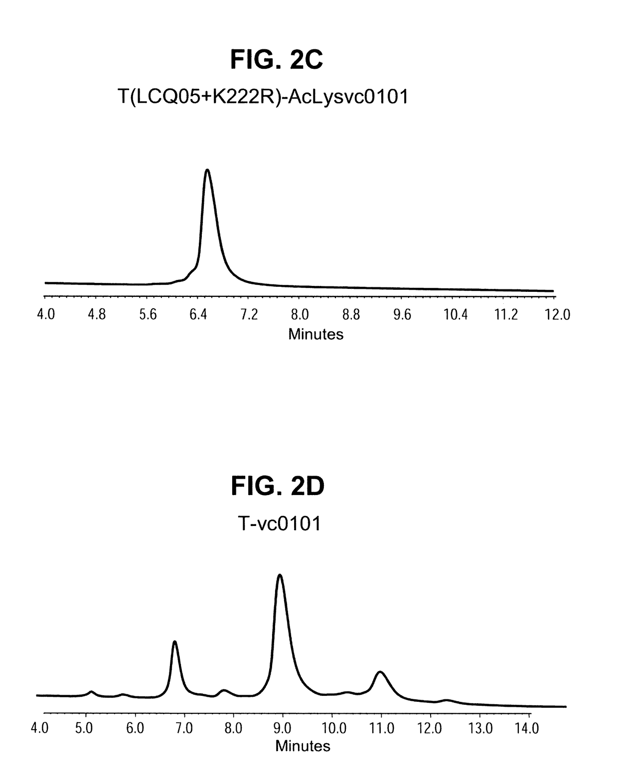 Site specific her2 antibody drug conjugates