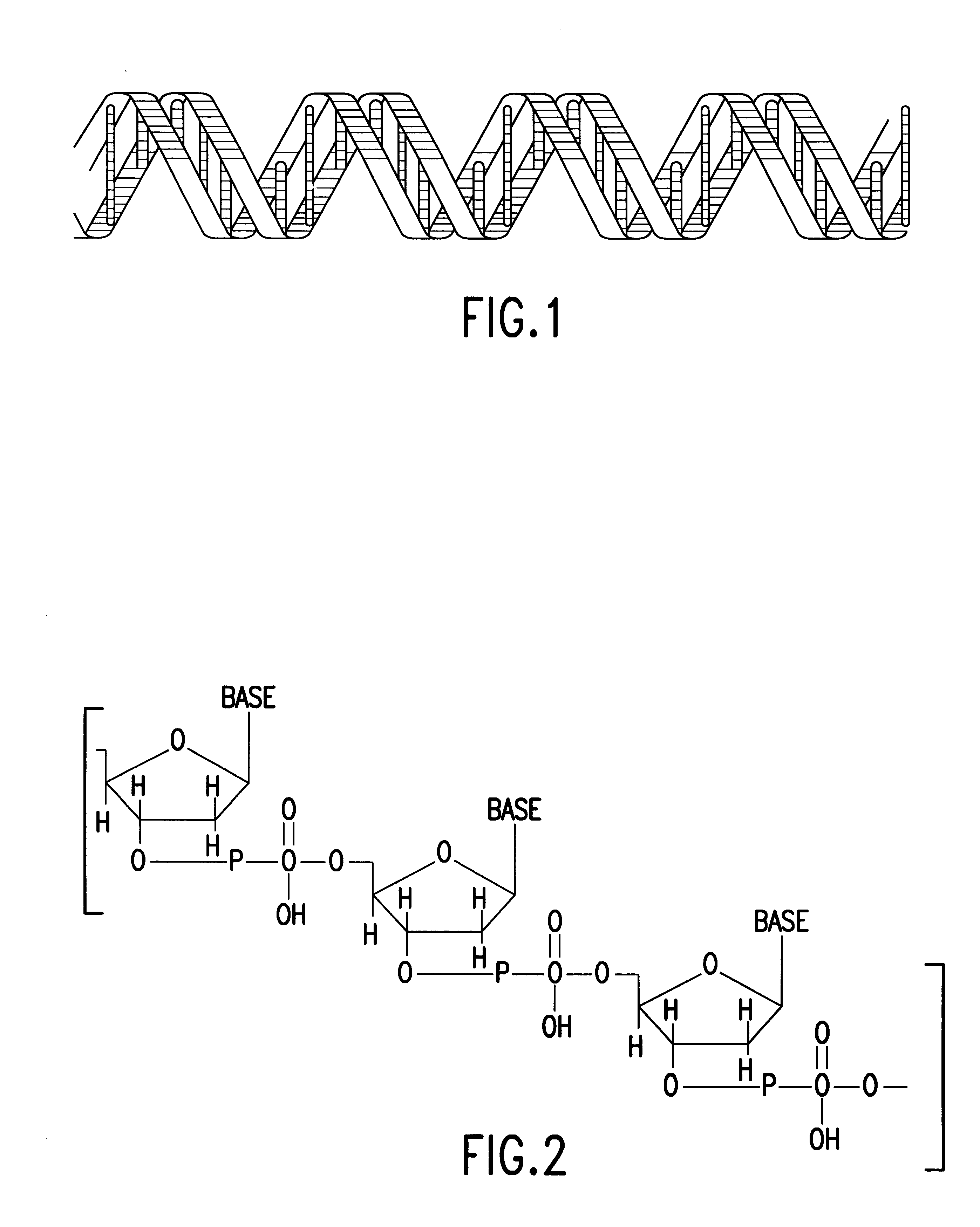 Apparatus for DNA sequencing