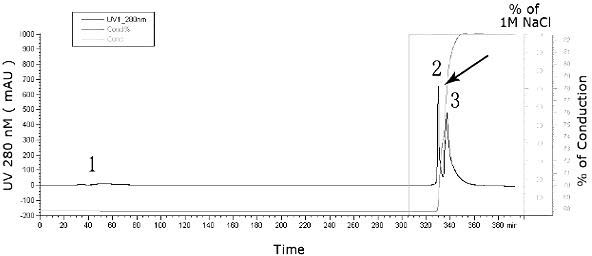 Purification preparation method of human rotavirus inactivated vaccines by utilizing ion exchange chromatography