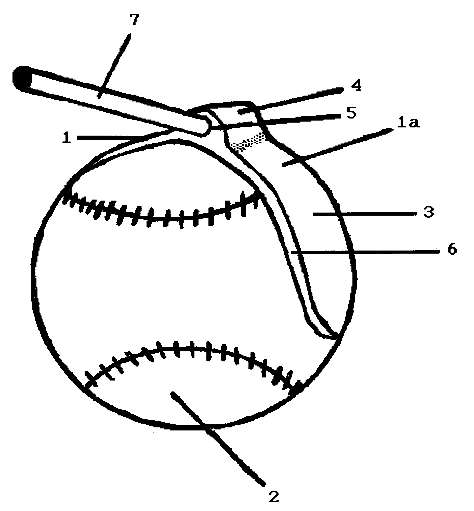 Simplified holder to facilitate the signing of collectible base balls and other sports memorabilia