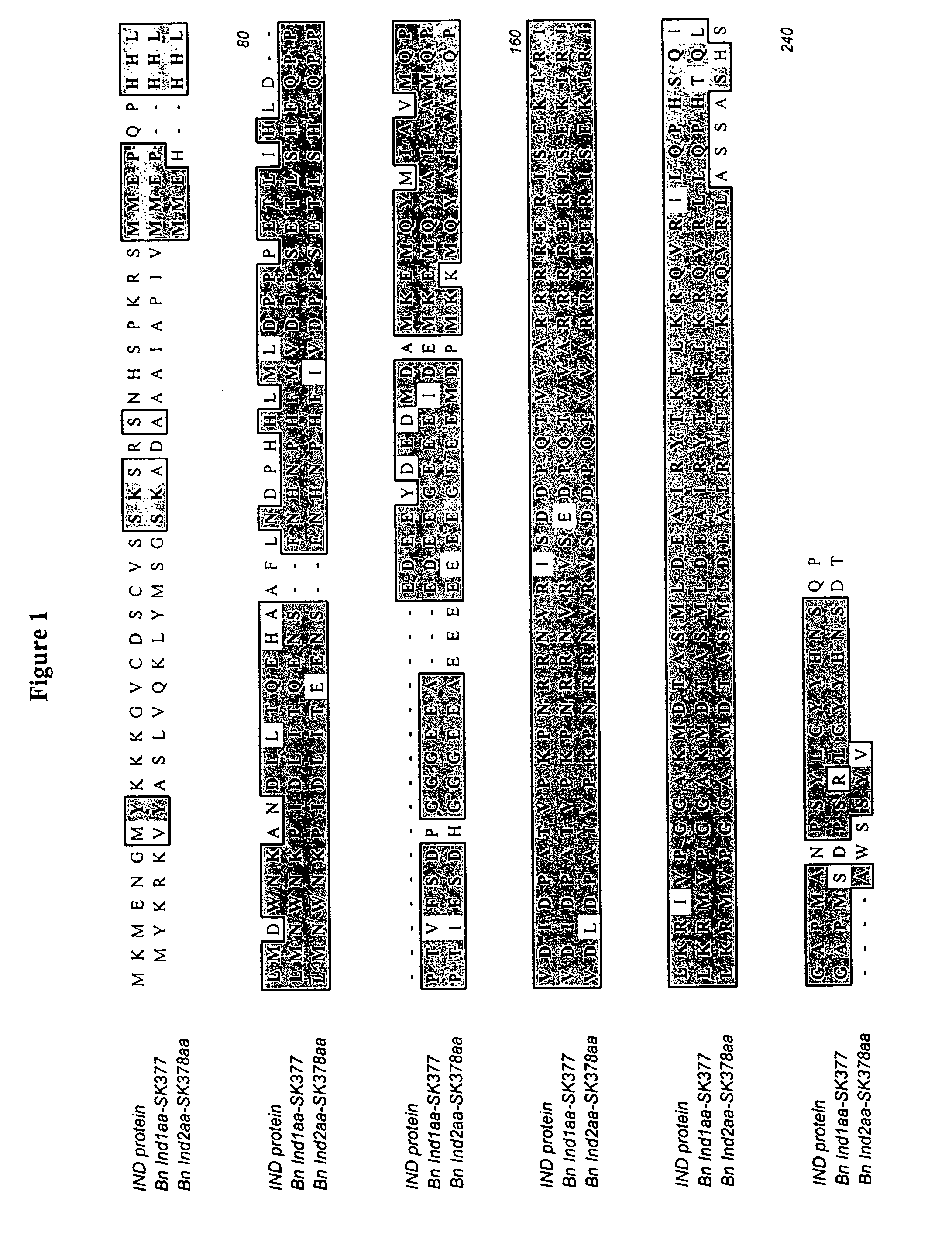 Control of fruit dehiscence in plants by indehiscent1 genes