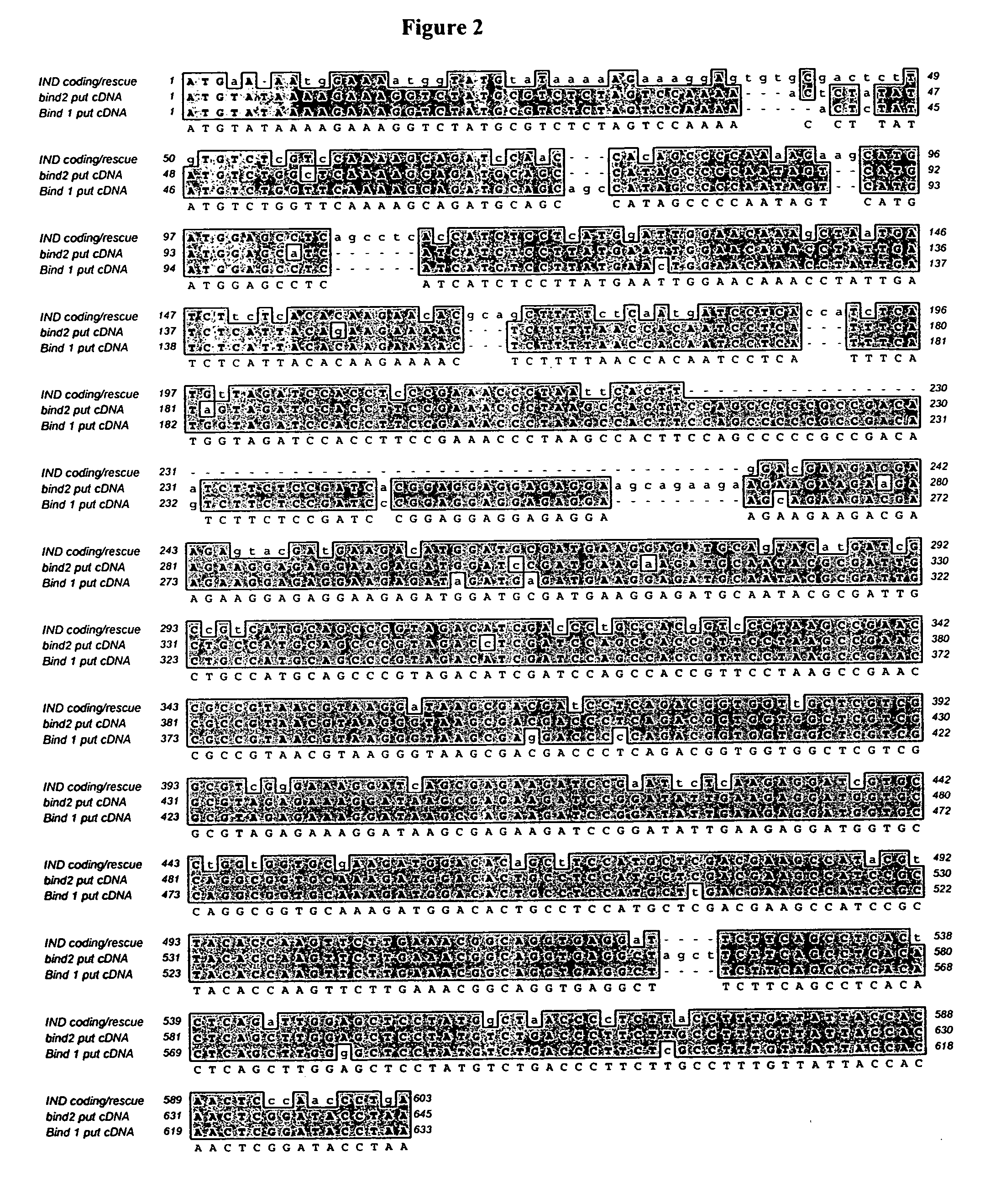 Control of fruit dehiscence in plants by indehiscent1 genes