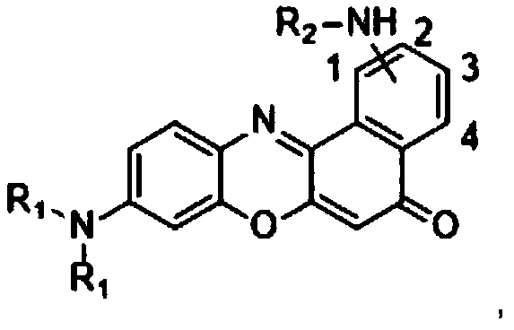 A Class of Near Infrared Fluorescent Small Molecule Probes