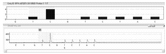 IRF4 gene polymorphism detection kit through pyrosequencing method, and method thereof