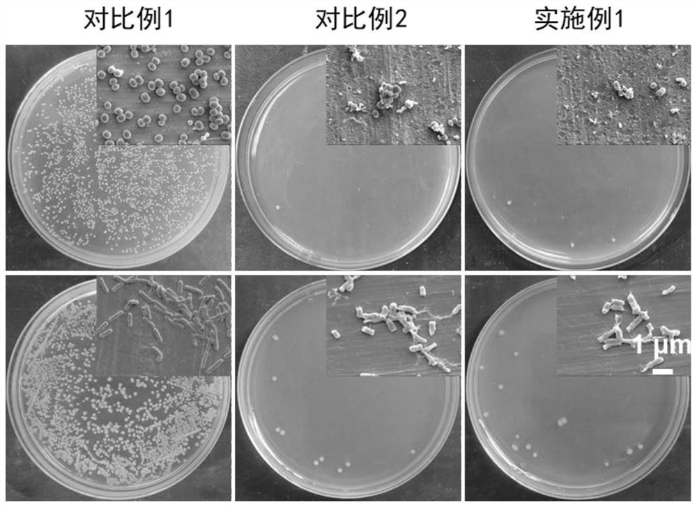 Coating material with modified protein as well as preparation method and application of coating material