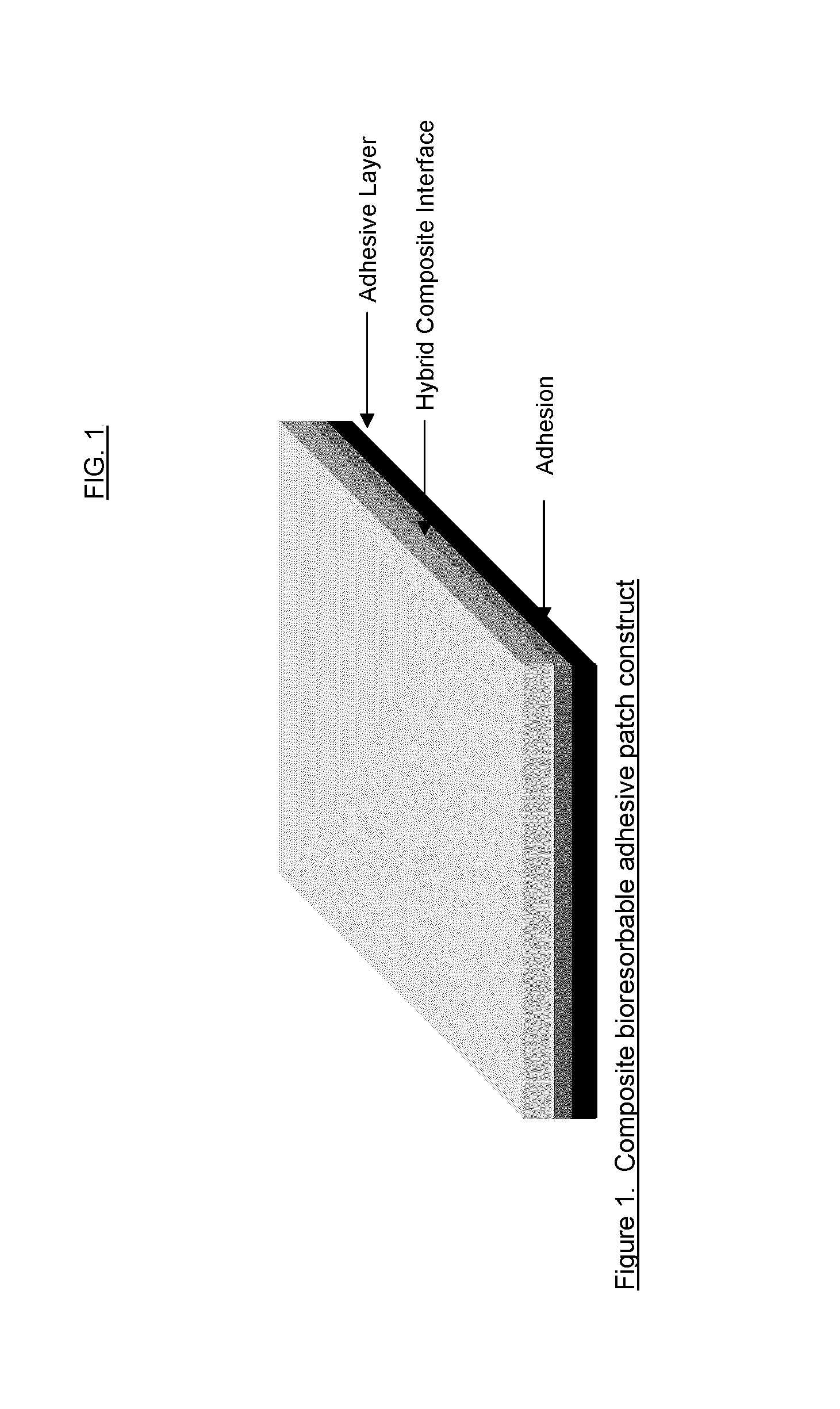 Pendant hydrophile bearing biodegraadable compositions and related devices
