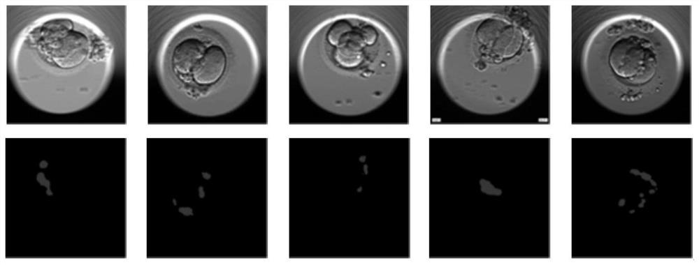 Method and system for intelligent prediction of embryo pregnancy status