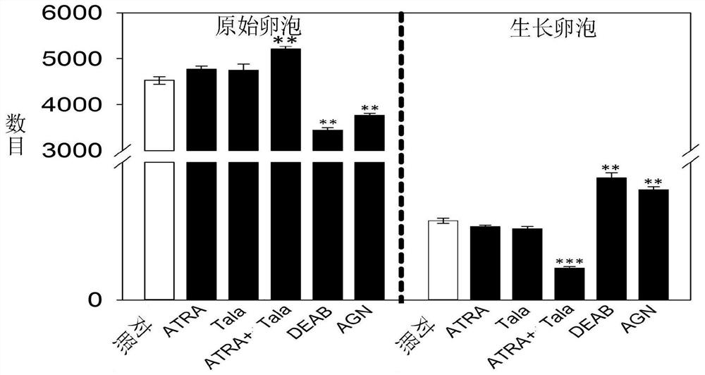 Pharmaceutical composition for regulating and controlling reserve of primordial follicle