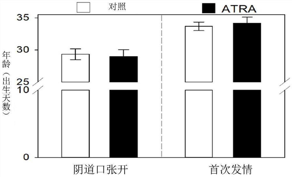 Pharmaceutical composition for regulating and controlling reserve of primordial follicle