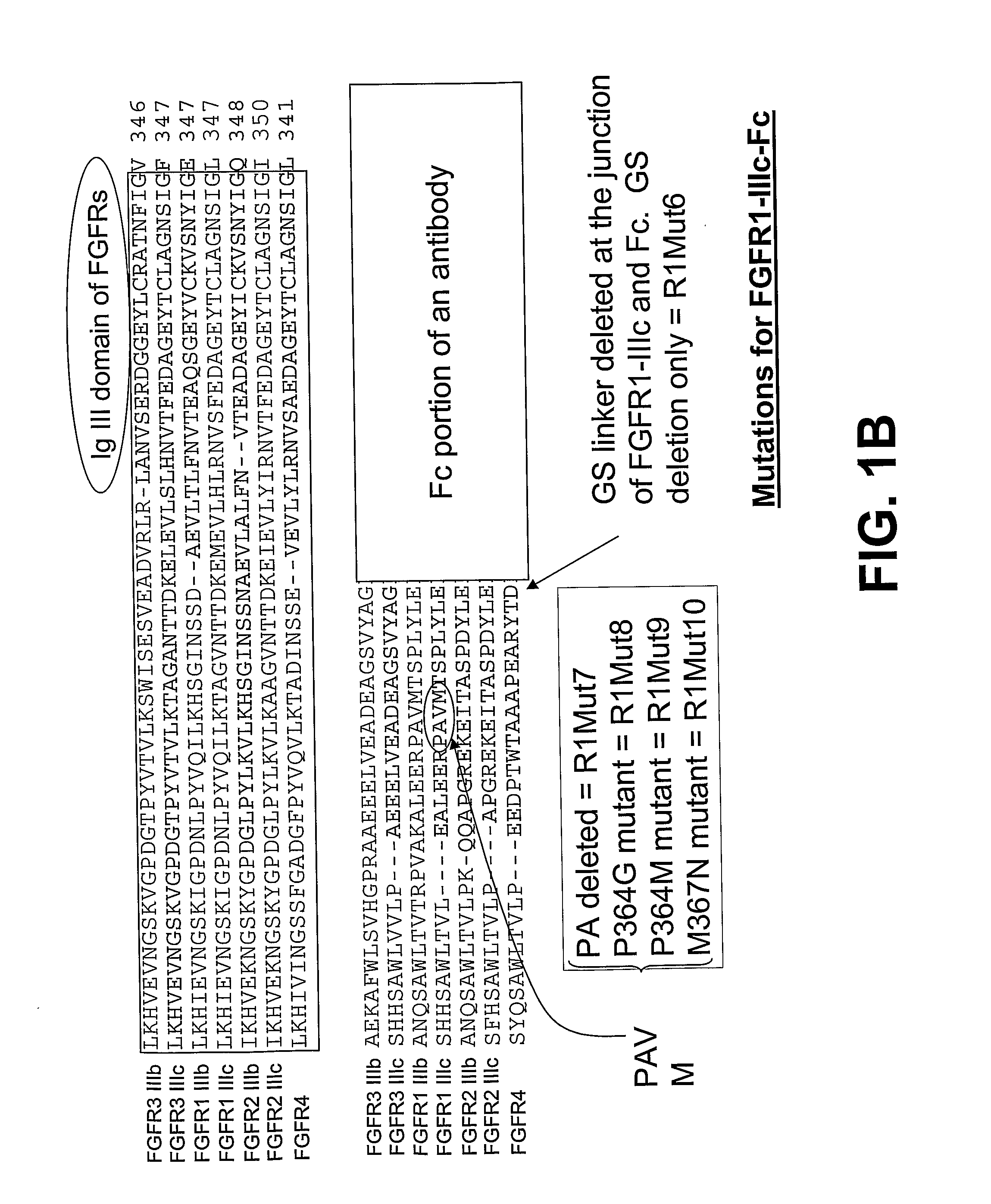 Compositions and Methods of Treating Disease with Fgfr Fusion Proteins
