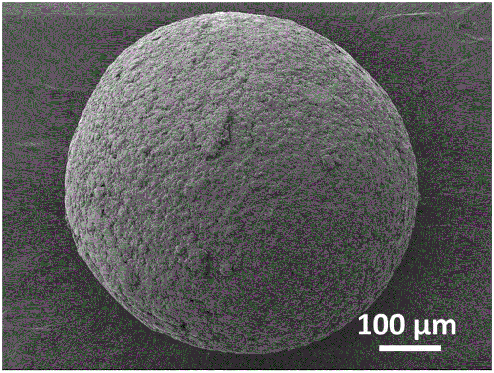 A kind of cross-linked polypropylene resin that can be used for 3D printing and its preparation method and application