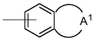 Vancomycin derivative, preparation method and applications thereof