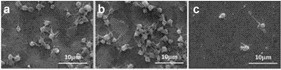Method for preparing mesoporous silicon nanoparticle coating loaded with heparin and Cu&lt;2+&gt; on surface of biological material