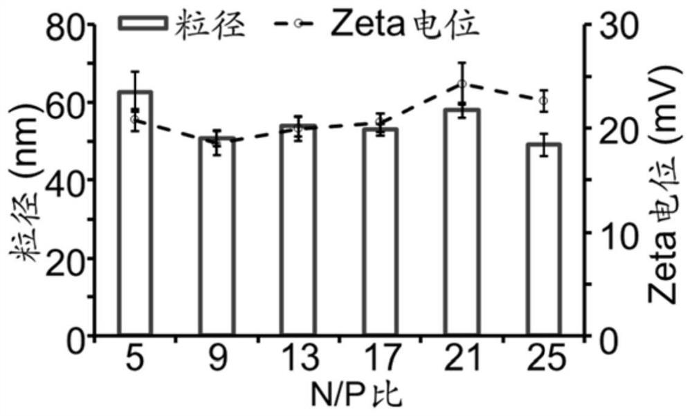 A Sorafenib-gene co-loaded nano-medicine for cancer treatment and its preparation method and application