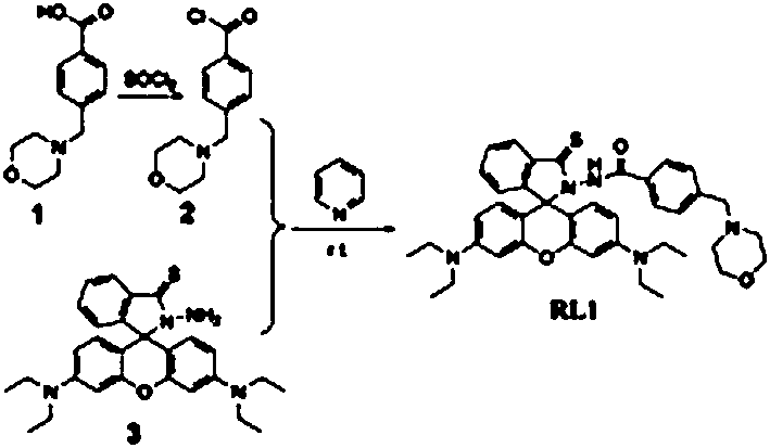 Rhodamine B type fluorescent probe capable of being applied to detection of HOCl in cytolysosome