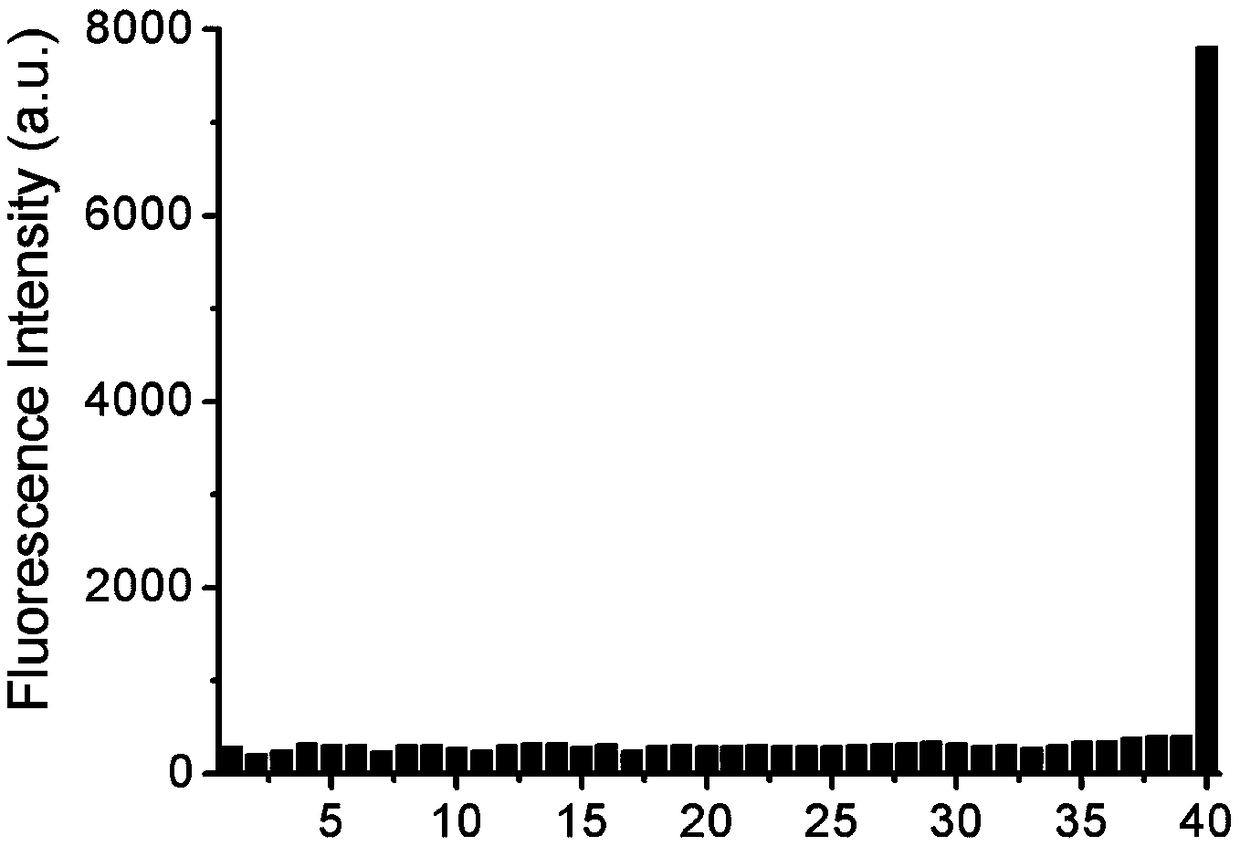 Rhodamine B type fluorescent probe capable of being applied to detection of HOCl in cytolysosome