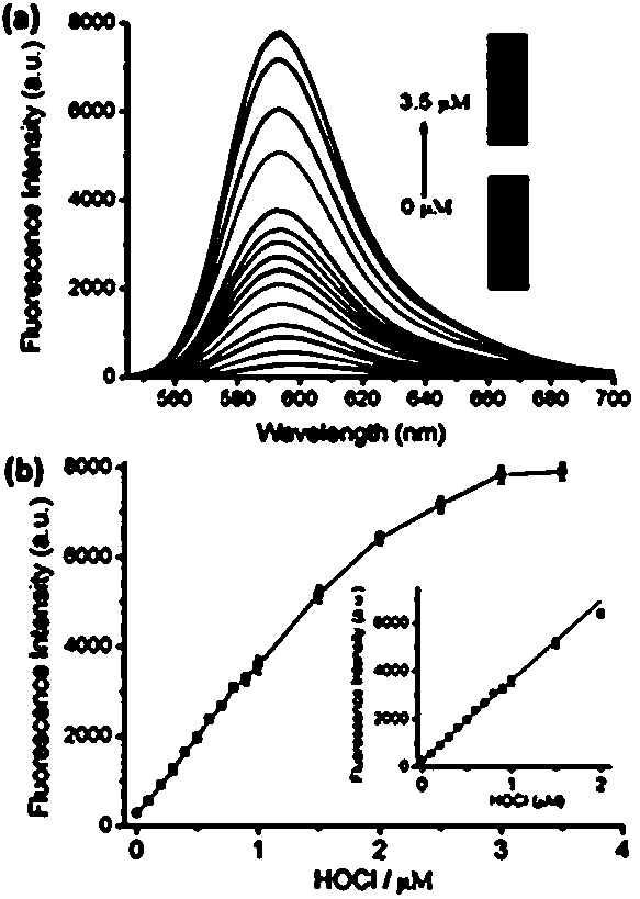 Rhodamine B type fluorescent probe capable of being applied to detection of HOCl in cytolysosome