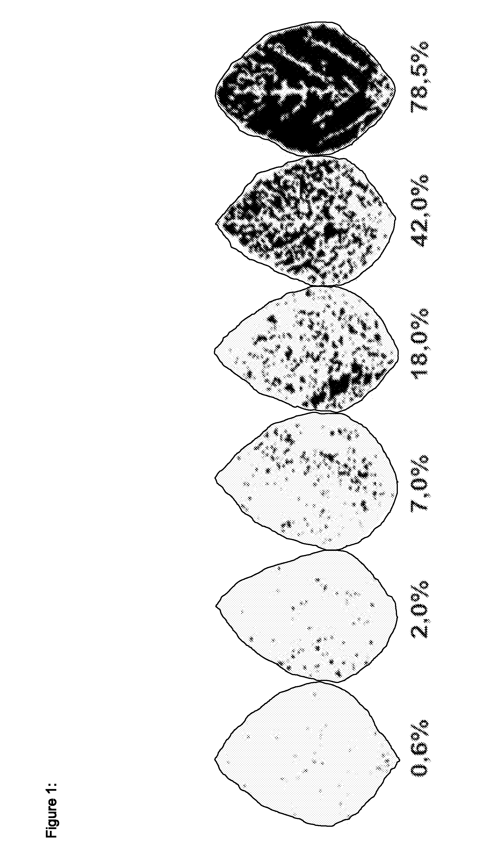 Fungal resistant plants expressing hcp6