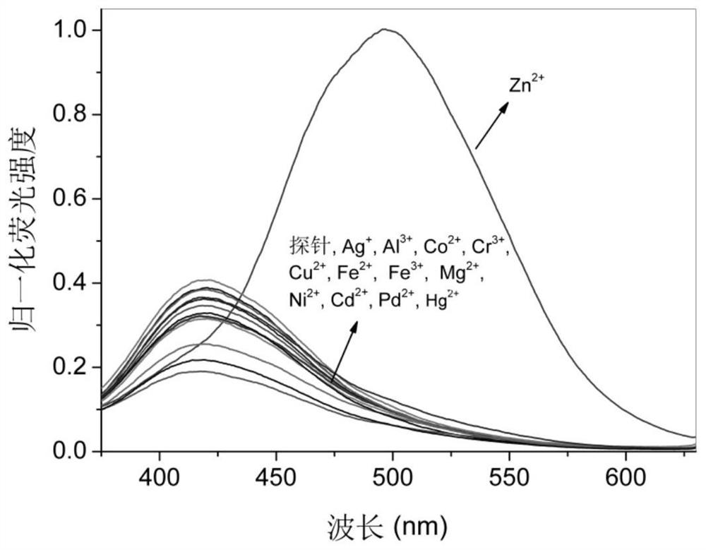 8-Aminoquinoline amide derivatives, preparation method, application and fluorescence analysis method thereof