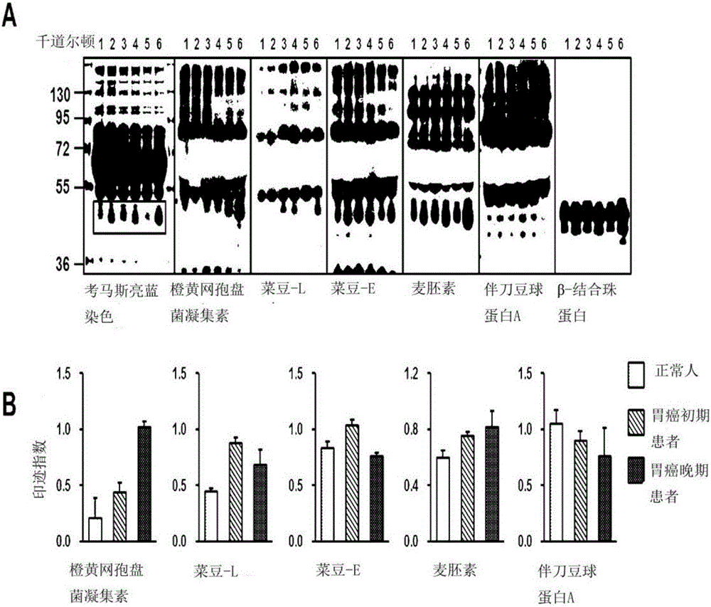 Novel method for gastric cancer diagnosis