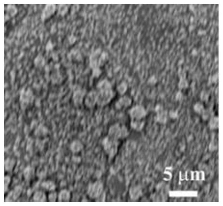 B-P co-doped double-transition metal catalyst as well as preparation method and application thereof