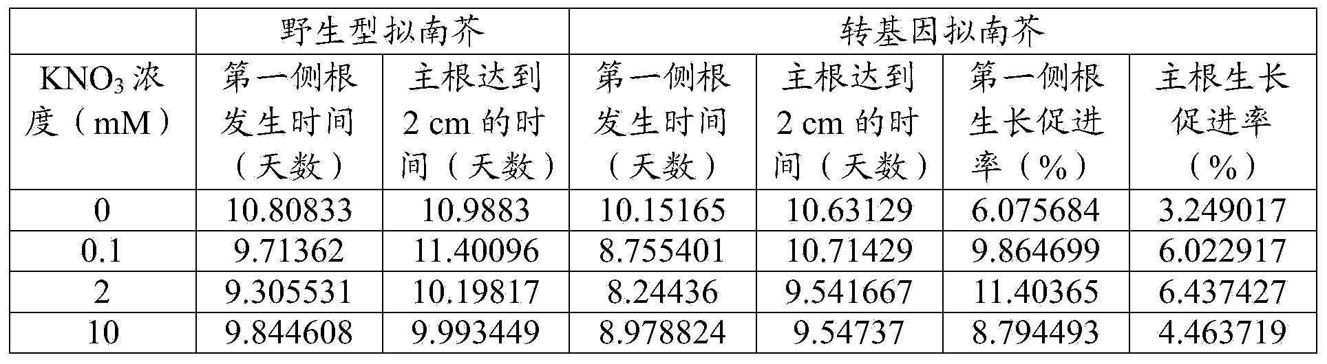 Application of paddy rice genes OsMADS25 to promoting tap root system plant lateral root growth