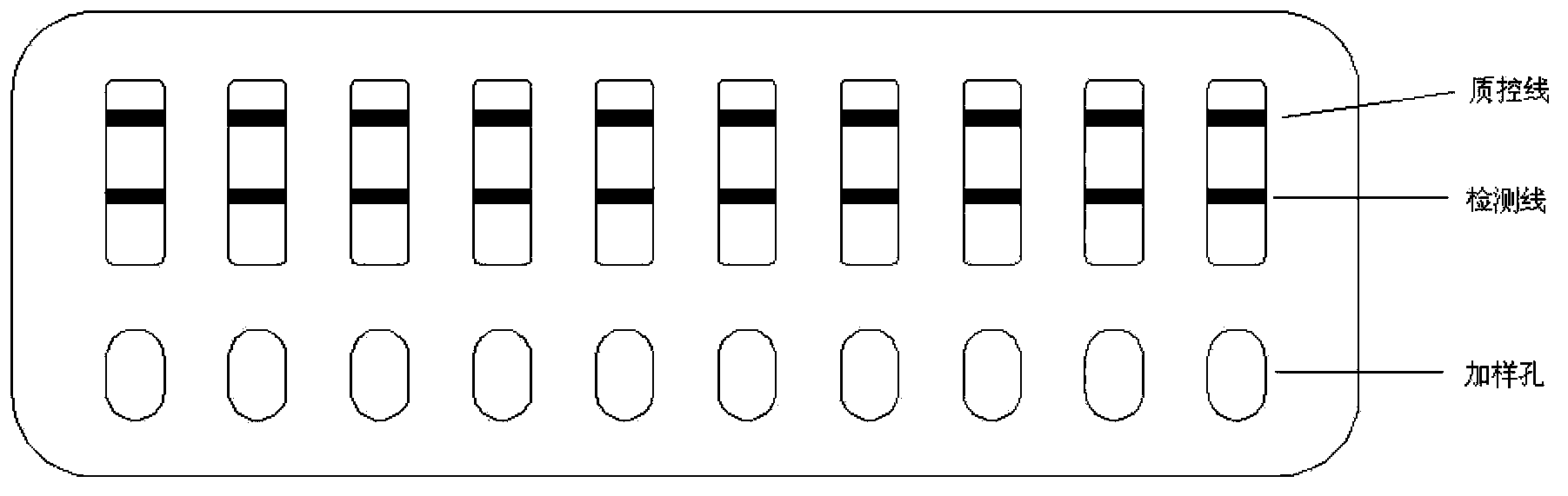 Rapid specific antibody IgE detection kit and preparation method thereof