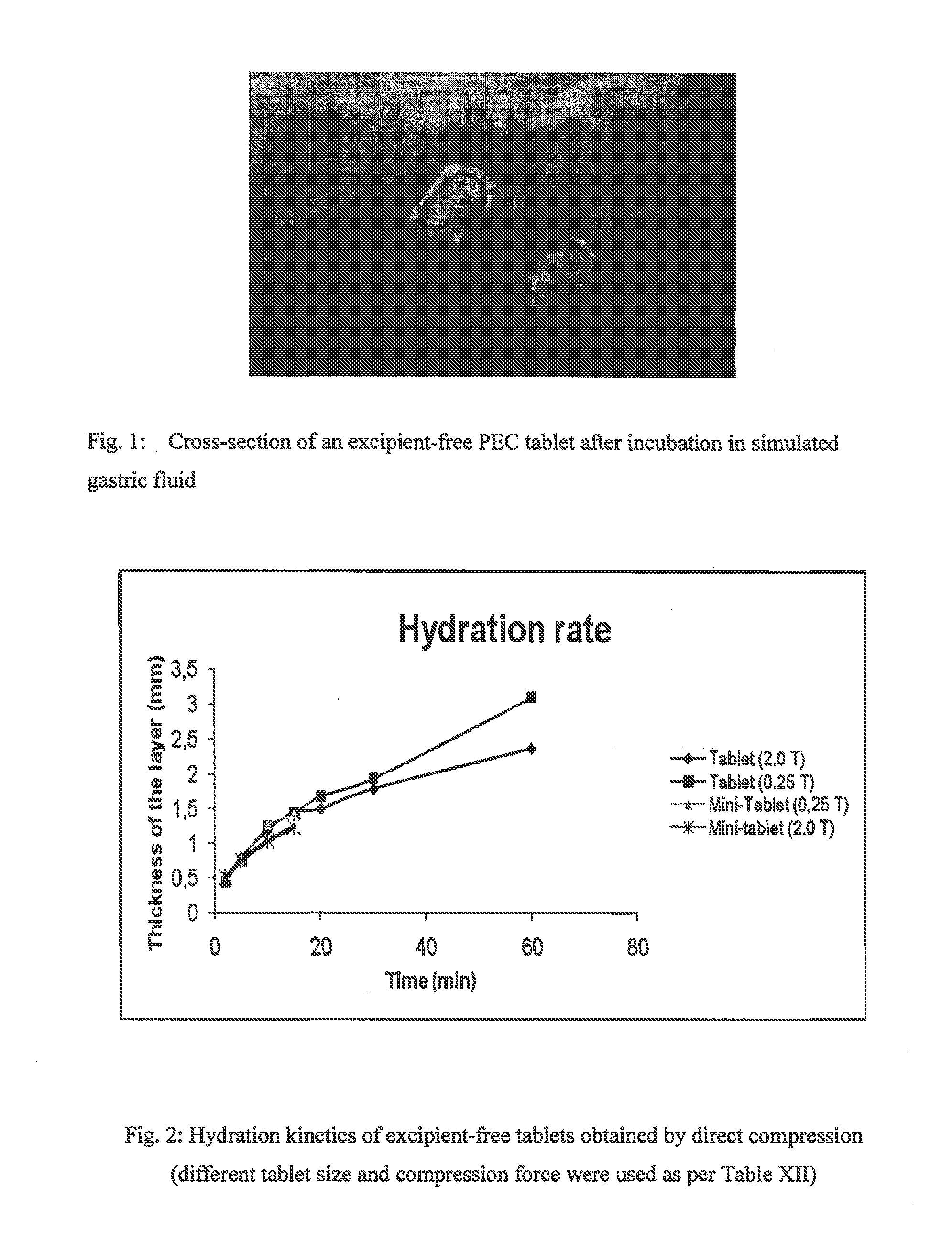 Gastro-resistant enzyme pharmaceutical compositions