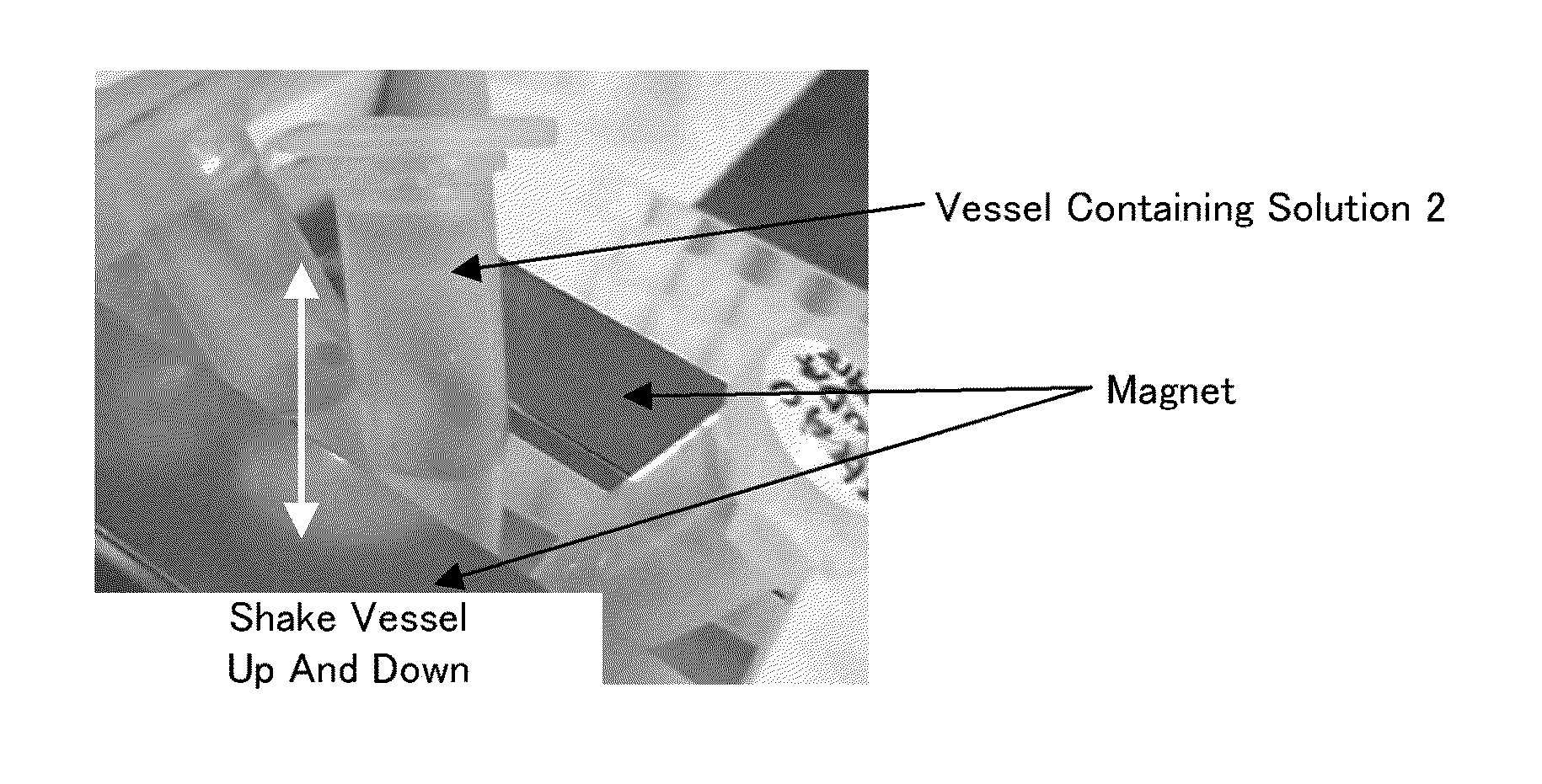 Method for concentrating viruses, method for concentrating cells or bacteria, and magnetic composite