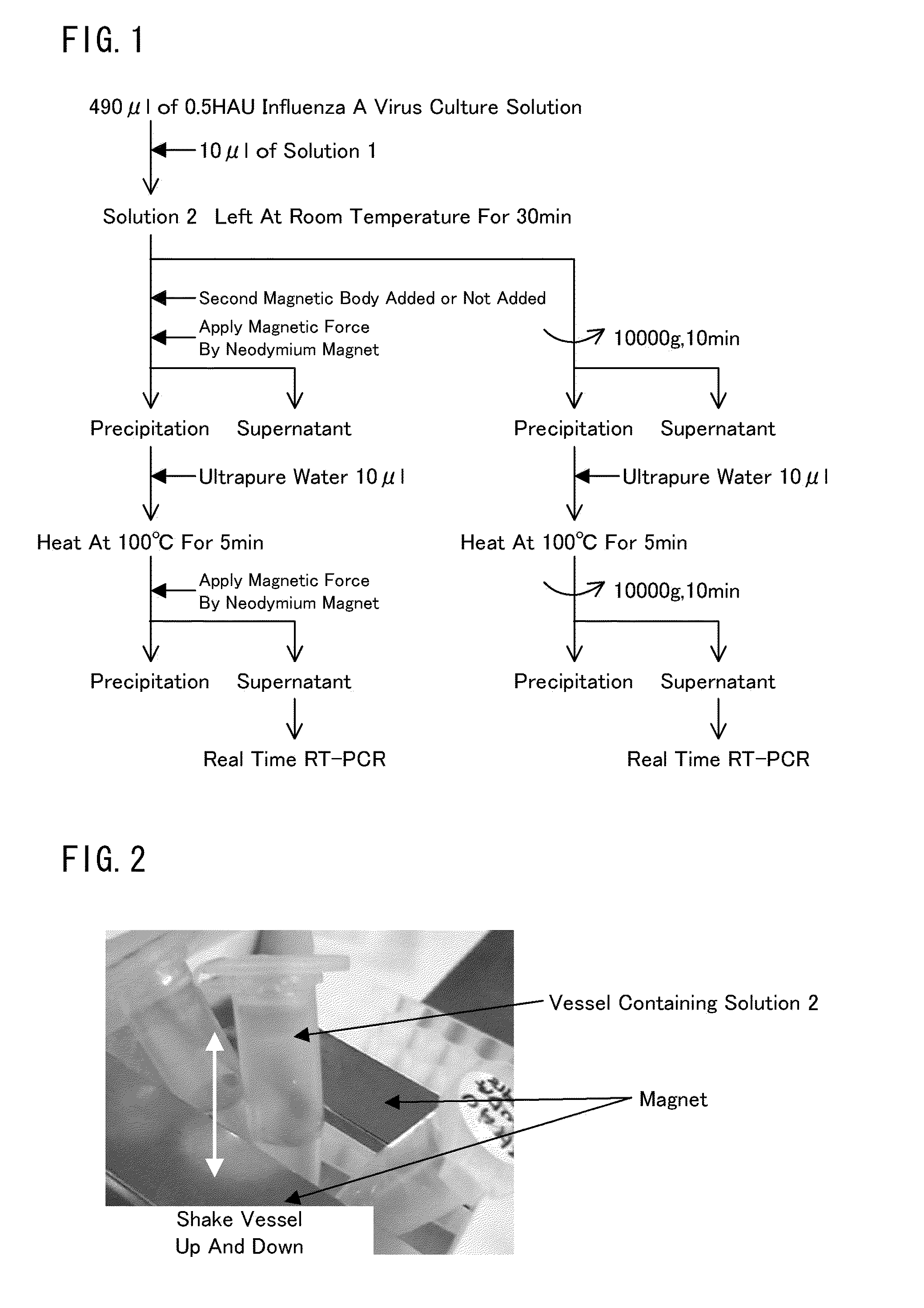 Method for concentrating viruses, method for concentrating cells or bacteria, and magnetic composite
