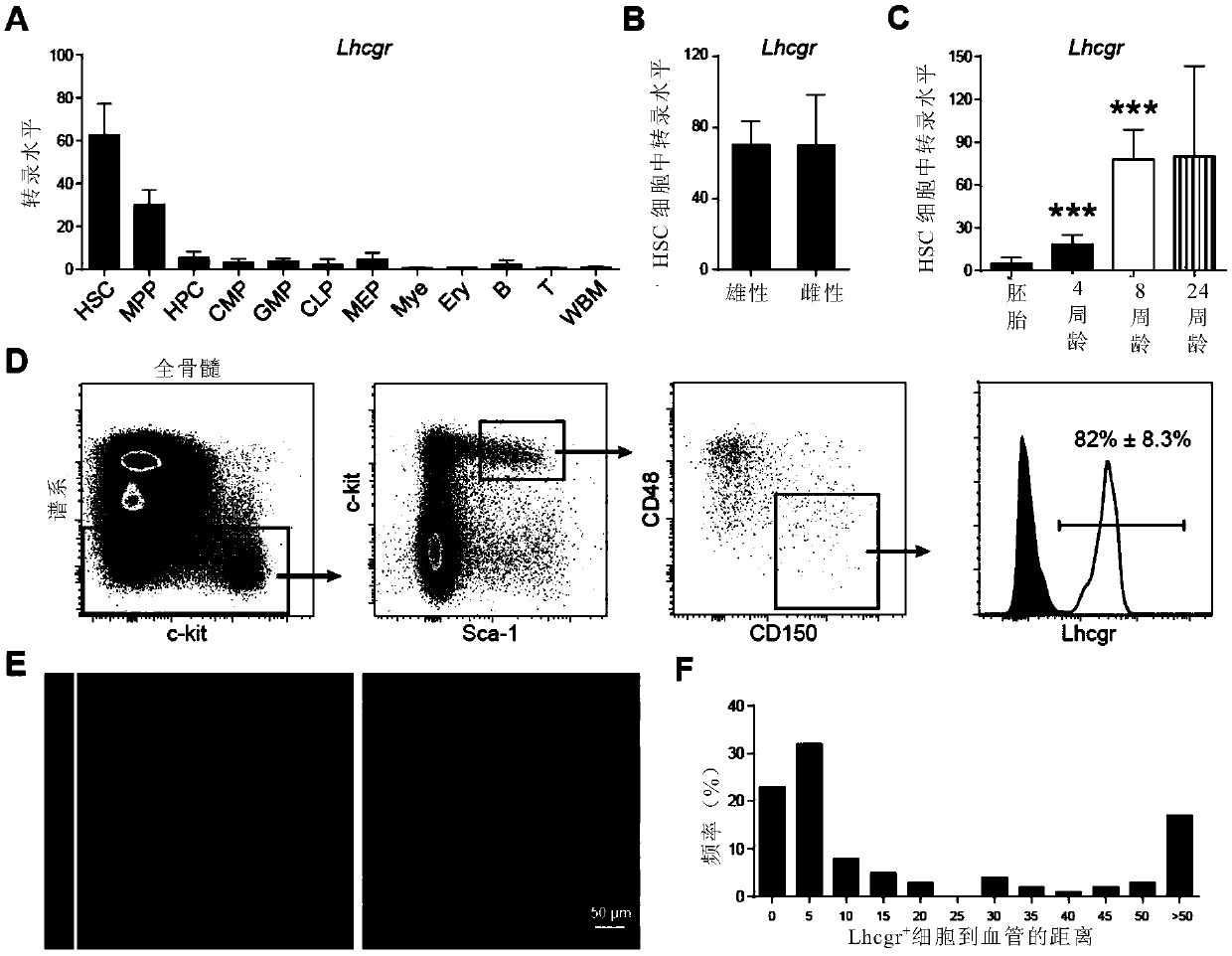 Application of luteinizing hormone in inhibition of development of myeloid leukemia