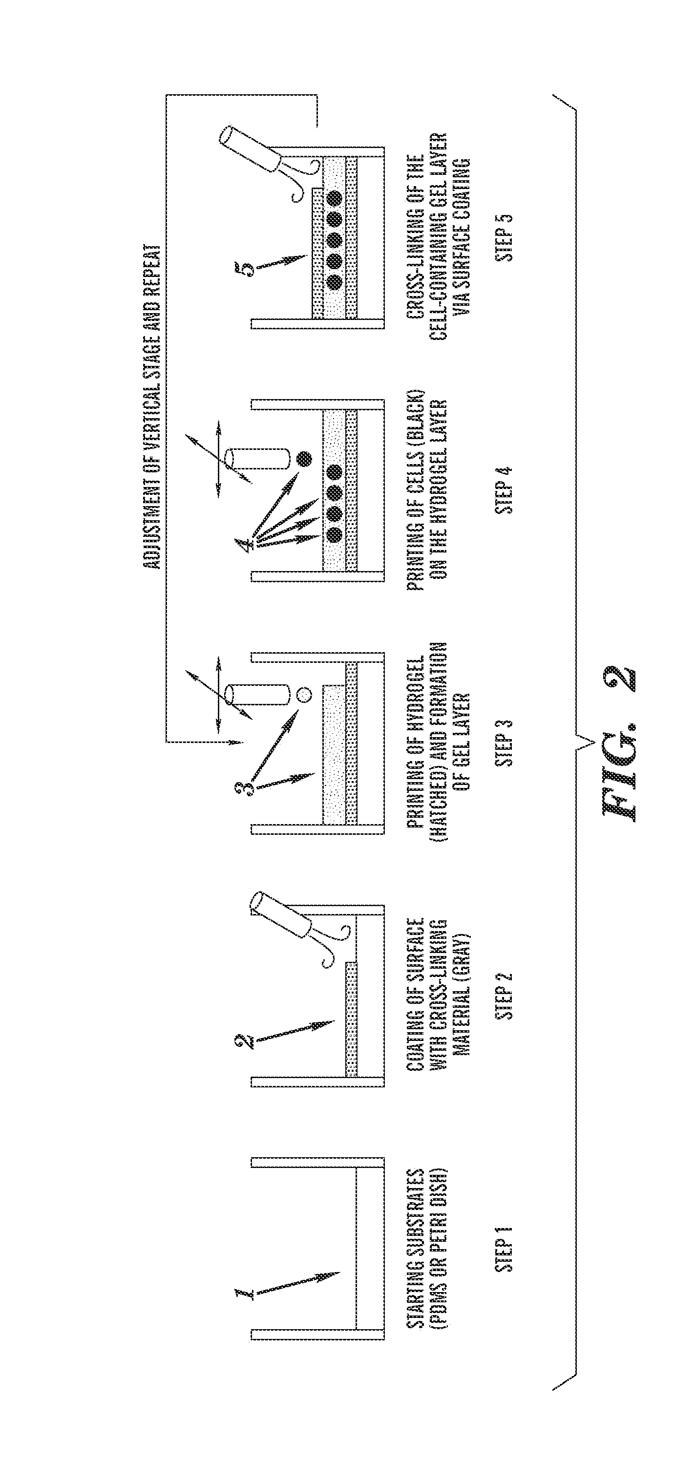 3-dimensional multi-layered hydrogels and methods of making the same