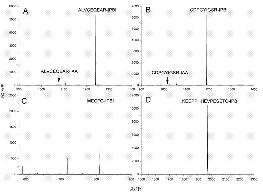 Alkylation derivatization reagent and application of alkylation derivatization reagent in peptide fragment marking and mass spectrometric detection