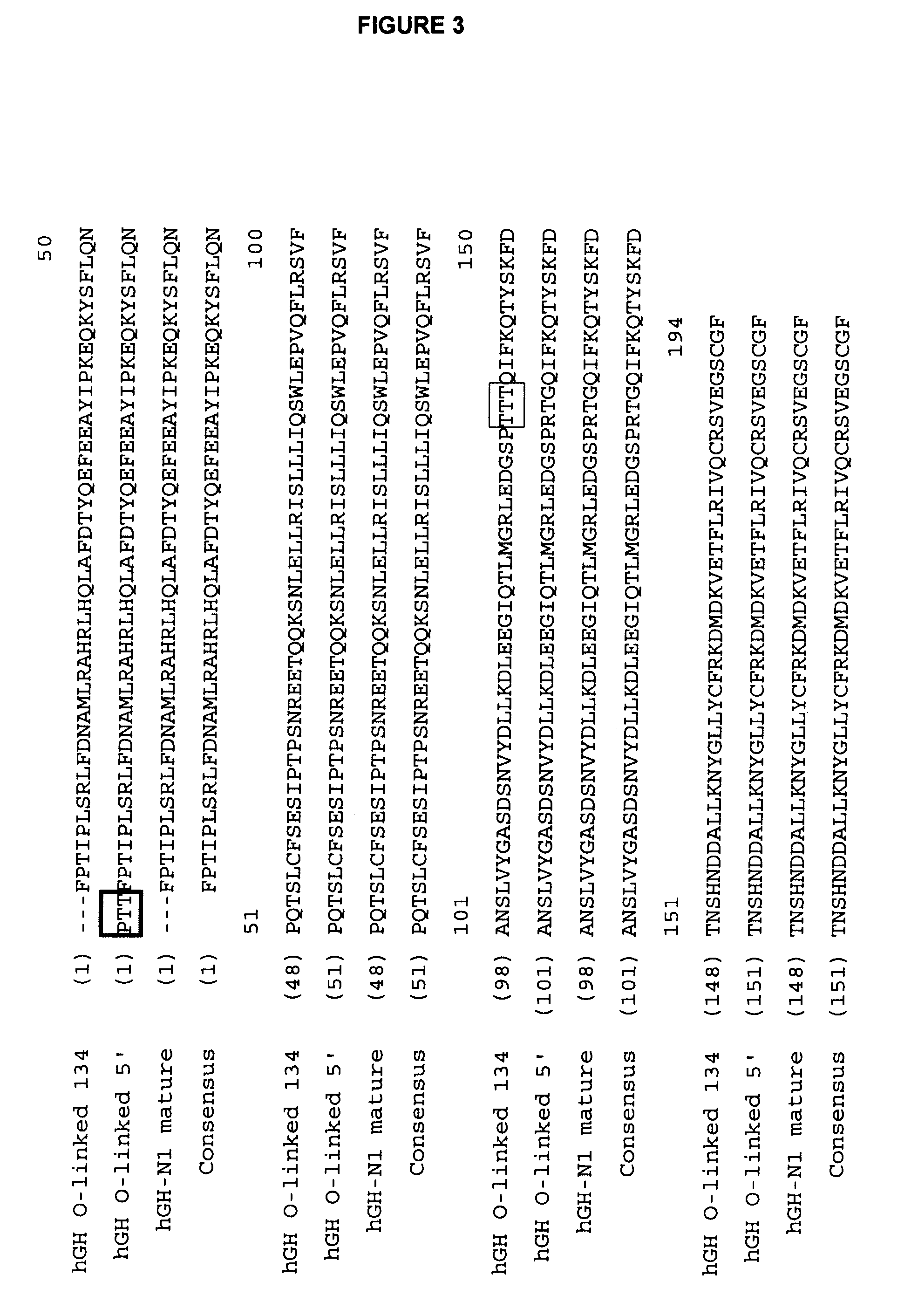 Compositions and methods for the preparation of protease resistant human growth hormone glycosylation mutants