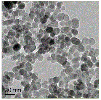 Fe3O4@SiO2 magnetic nanospheres as well as preparation method and application thereof