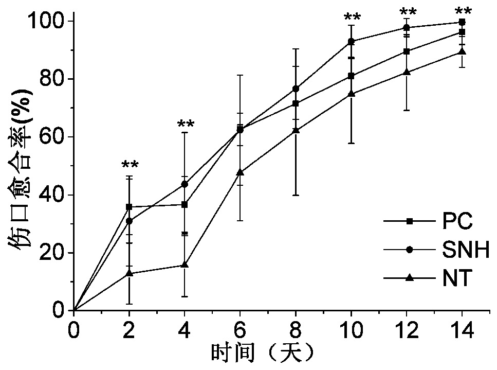 Preparation method and application of sipunculus nudus zymolytic protein peptide powder having effect of promoting trauma healing