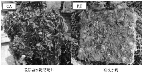 Construction method of ecological riprap breakwater