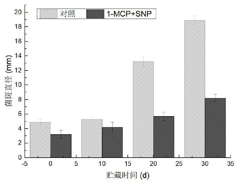 Safe and efficient special mildewproof preservative for apples and preparation method thereof