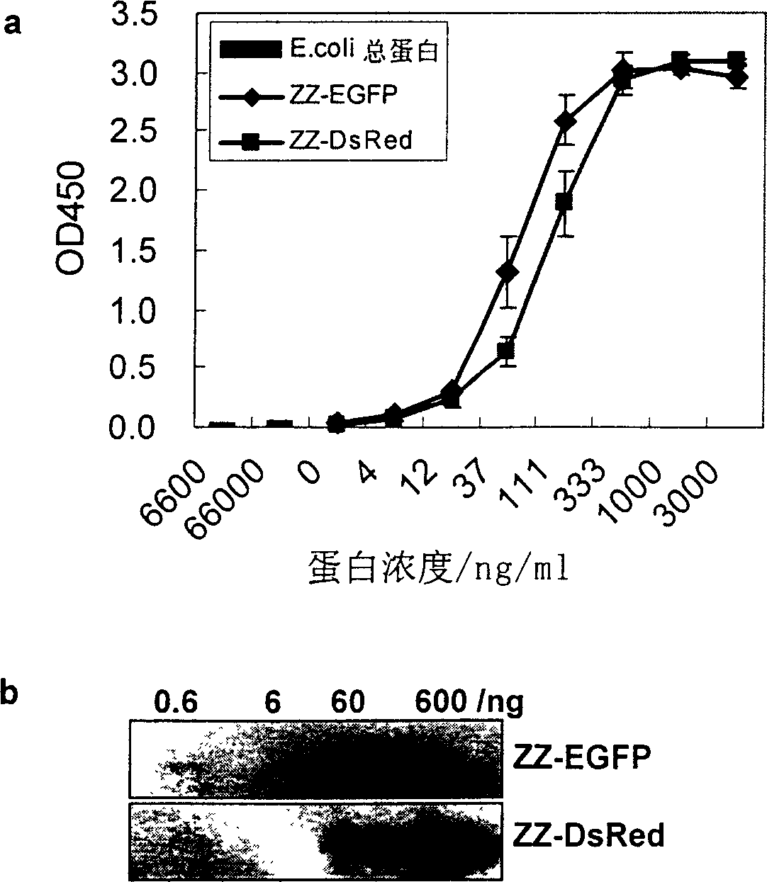 Fusion protein of immune globulin binding structural domain and fluorescence protein and its uses