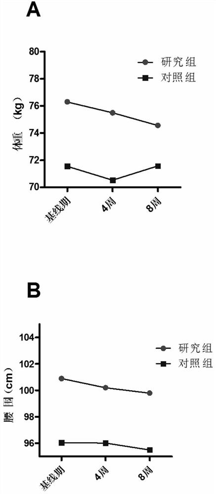 Application of stomach-regulating qi-supporting decoction in preparation of drugs for preventing and treating metabolic syndrome caused by olanzapine taken by schizophrenia patients